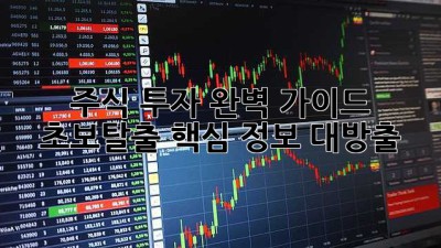 주식 투자 완벽 가이드 🚀 초보탈출 핵심 정보 대방출!