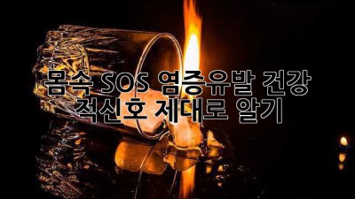몸속 SOS🚨 염증유발, 건강 적신호 제대로 알기!